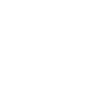 Havanese dog