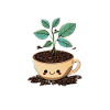 planting dreams sliping beans