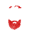 Beard Lover Bearded Man Ginger