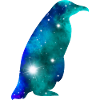 Galaxy Penguin