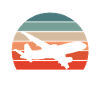 Aircraft mechanic saying