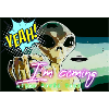Alien is coming