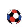 France Football Fan