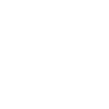 Evolution Shih Tzu