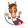 PFERD - SUPERHELD - MONDSCHEIN - HELD - PONY