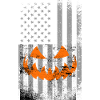 Haloween america pumpkin