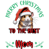 Merry Christmas To Hamstermama