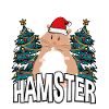 Soyez joyeux avec les hamsters