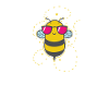 cool bee animals nature