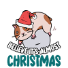 Believe it's almost Christmas