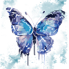 papillon aquarelle