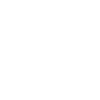 2024 Dash