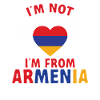 Armenian flag Armenia