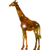 Galaxy Giraffe