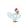 Funny Chicken Saying Chicken