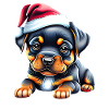 Dogs Rottweiler Dog Christmas Puppy
