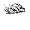 Snail Owner - Snail Daddy