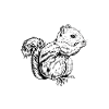 Chipmunk owner - chipmunk mom
