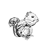 Chipmunk owner - chipmunk mom