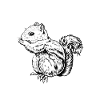 Chipmunk owner - chipmunk dad
