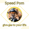 Pomeranian Spruch Shirt & Accessoires - Zwergspitz