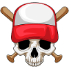 Skull Baseball Baseball Bats