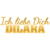 Liebe Dilara