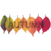 Autumn Design