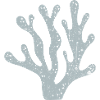 Azure Coral Silhouette