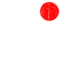 Red Sun over White Pine Silhouettes