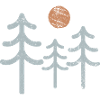 Sunlit Pine Silhouette