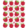 Raspberry Berries Fruit Pattern