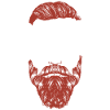Beard Lover Bearded Man Ginger