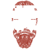 Beard Lover Bearded Man Ginger