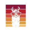 Recruteur Drame Lama Ressources Humaines