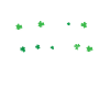 Recruteur Saint-Patrick