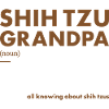 Shih Tzu Grandpa Definition