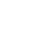 Shih Tzu Papa