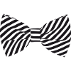 Zebra Bow Tie