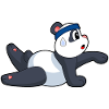 Panda Yoga Fitness Gymnastics