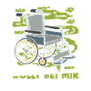 Rollstuhl Rollstuhlfahrer