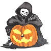 Pumpkin Pet