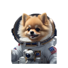 Galaxis Pomeranian