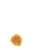 Fossilienjagd Felsen