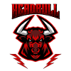 Head of bull