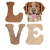 Brittany Spaniel Dog LOVE