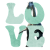 Brontosaurus Dinosaur LOVE