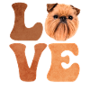 Brussels Griffon Dog LOVE