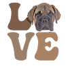 Bullmastiff Dog LOVE