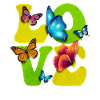 Butterfly Insect LOVE